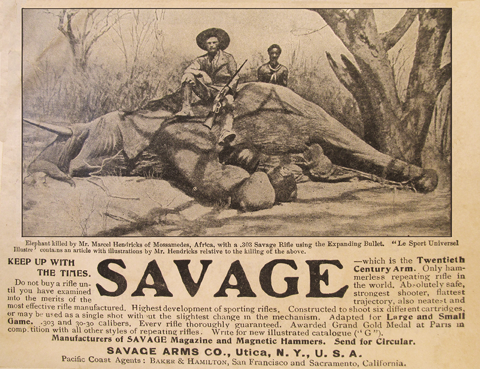 Keeping up with the times, as Savage recommends, is a 1902 elephant killed with one expanding .303 bullet from July, 1902.